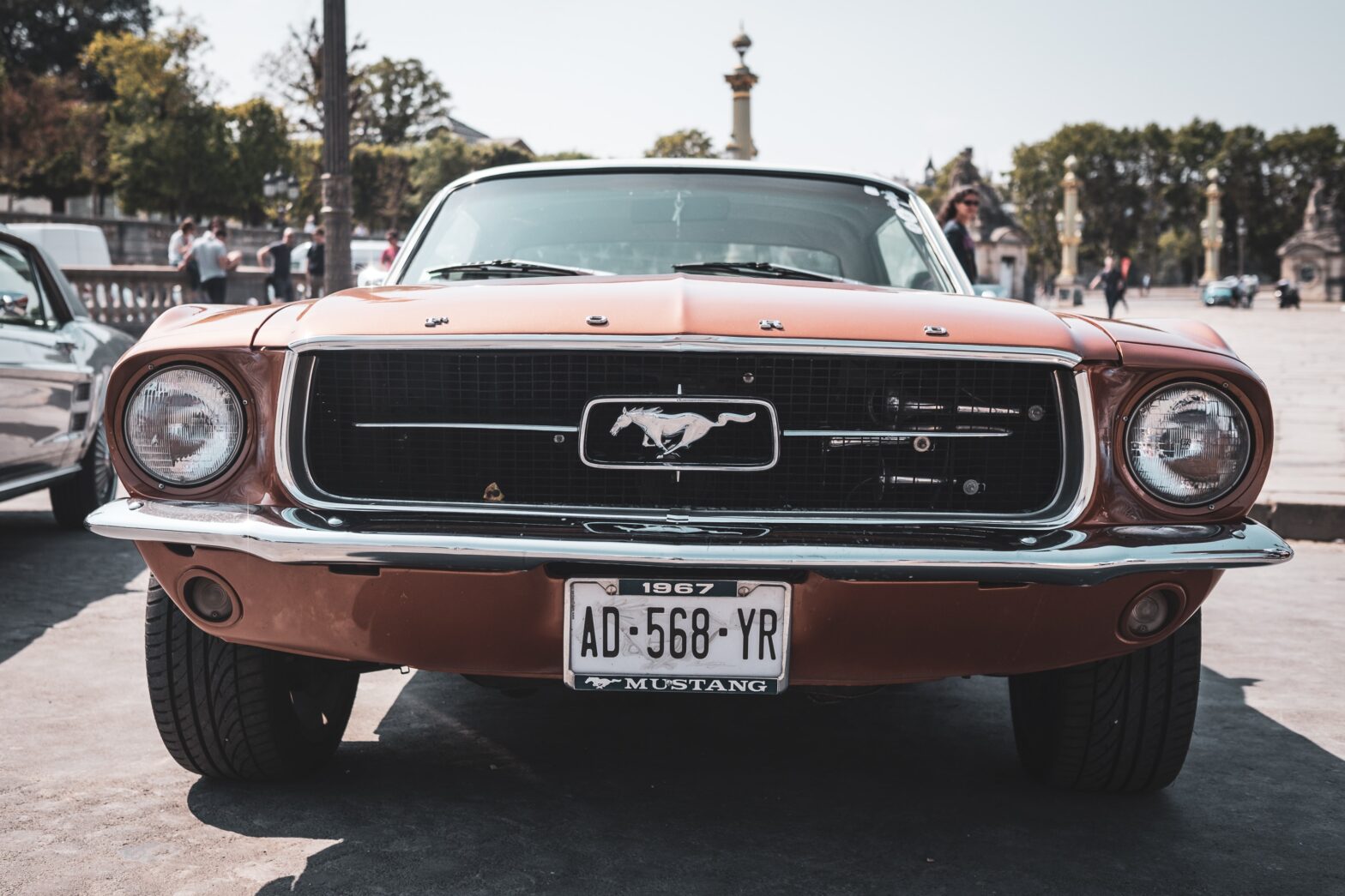 LizardSkin 1967 Ford Mustang